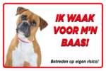 HIer waak ik met boxer