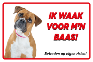 HIer waak ik met boxer
