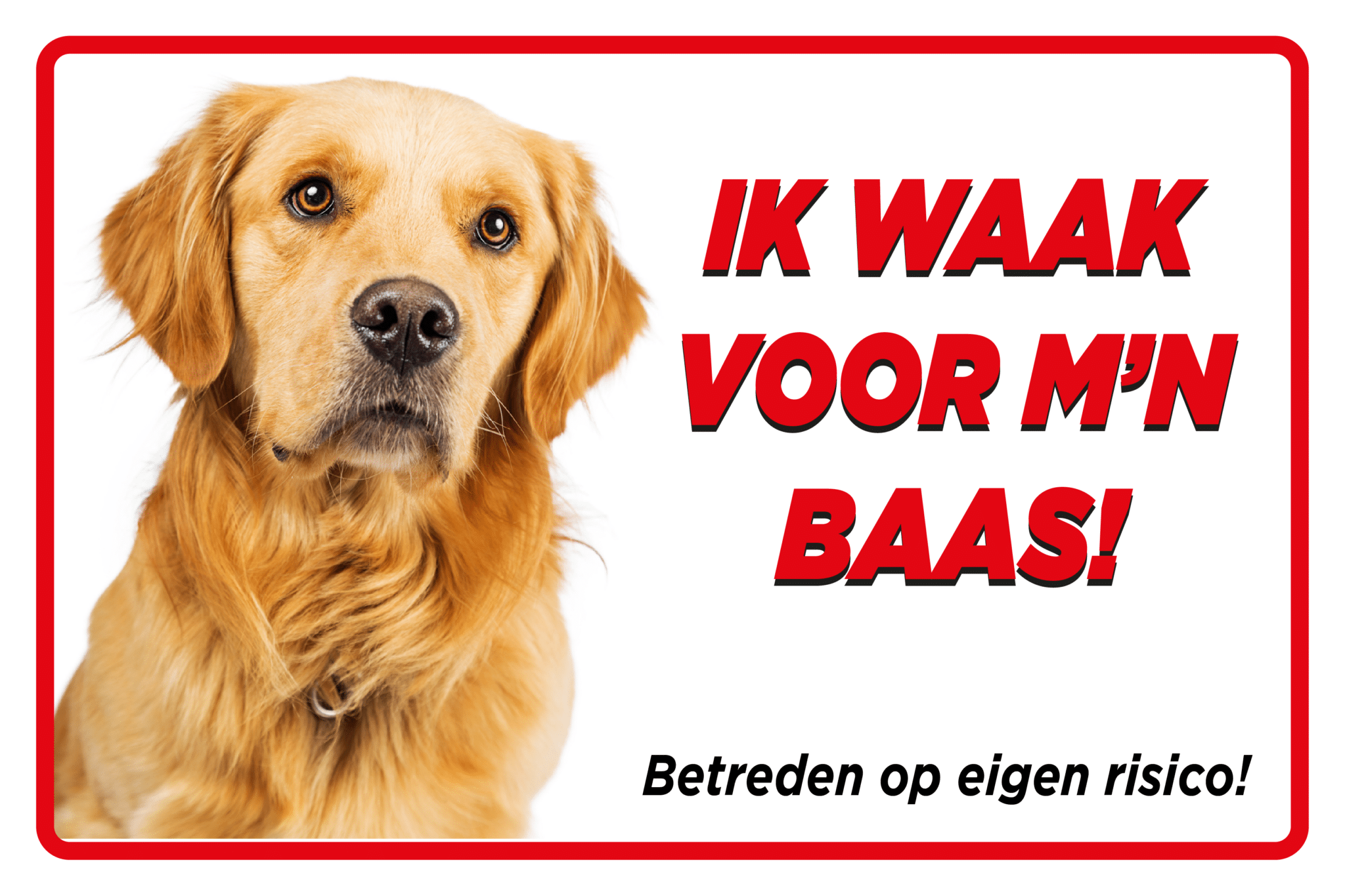 hier waak ik golden retriever